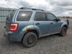 2011 Ford Escape Xlt للبيع في Ottawa، ON - Minor Dent/Scratches