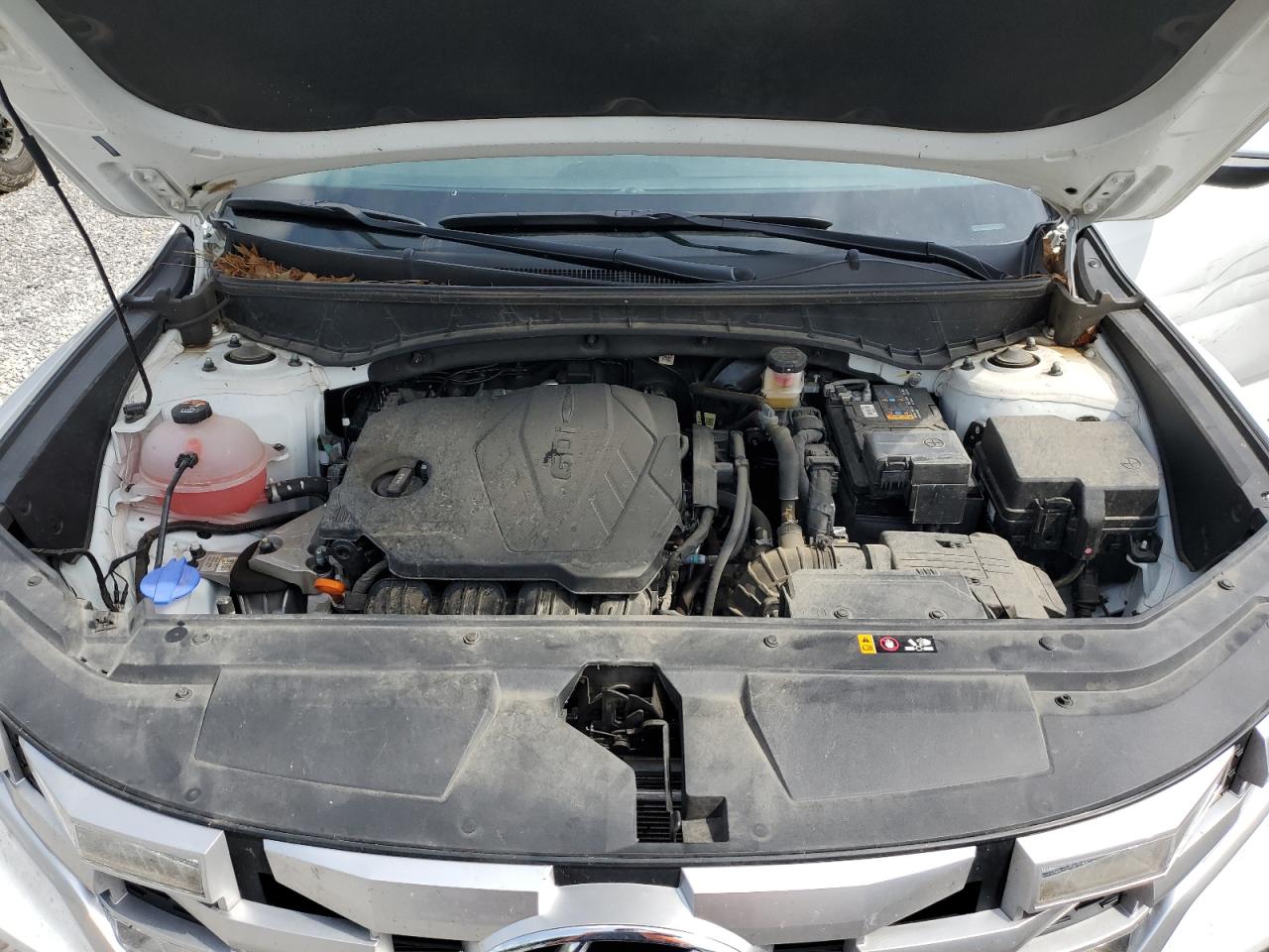 2024 Hyundai Santa Cruz Sel VIN: 5NTJCDDE7RH118847 Lot: 55722485