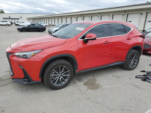 LEXUS NX 250 2023