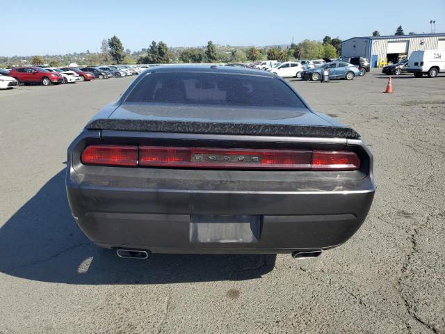  DODGE CHALLENGER 2013 Вугільний