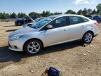 2013 Ford Focus Se იყიდება Elgin-ში, IL - Hail