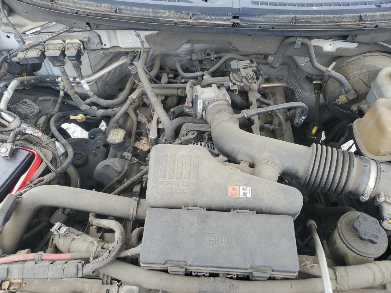 2010 Ford F150 VIN: 1FTMF1CW0AKC08682 Lot: 56354455