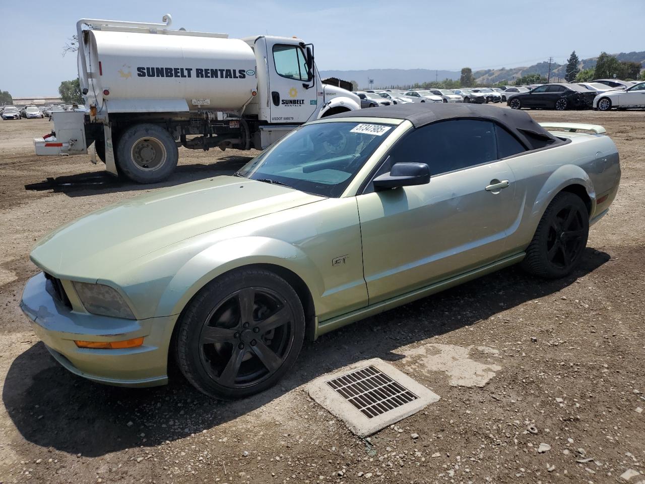 2005 Ford Mustang Gt VIN: 1ZVFT85H455171517 Lot: 57347985