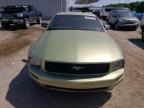 2005 Ford Mustang  for Sale in Jacksonville, FL - Rear End