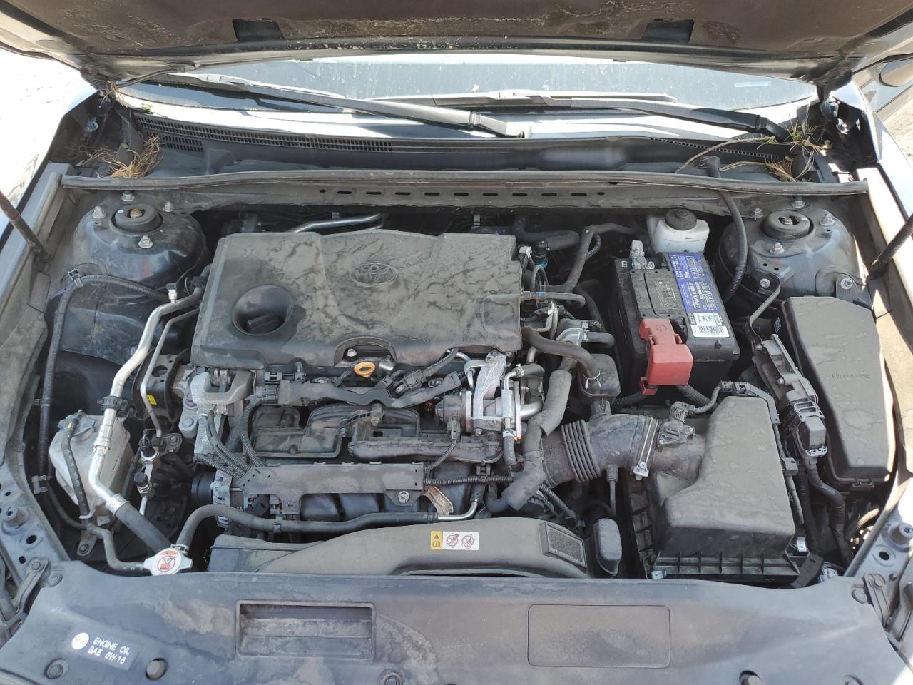 2019 Toyota Camry L VIN: 4T1B11HK0KU715823 Lot: 55246555