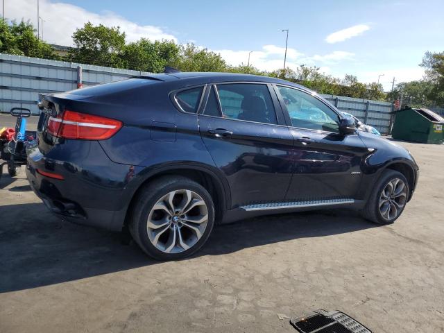 Parquets BMW X6 2013 Blue