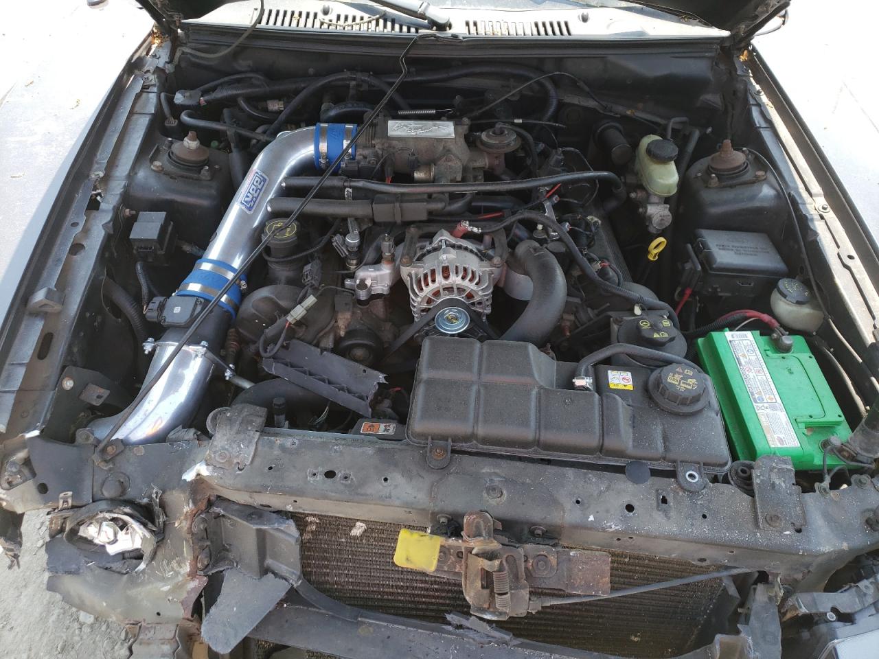 2003 Ford Mustang Gt VIN: 1FAFP45X43F387520 Lot: 56302185