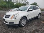 2011 Cadillac Srx Luxury Collection for Sale in Marlboro, NY - Normal Wear