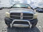 2006 Dodge Ram 1500 St на продаже в Arcadia, FL - Biohazard/Chemical
