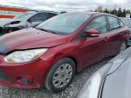 2014 FORD FOCUS SE   à vendre chez Copart QC - MONTREAL