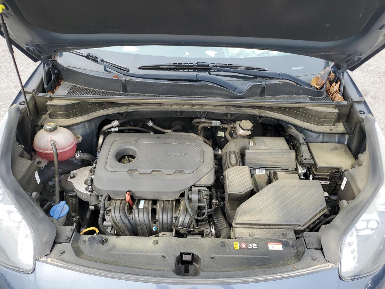 2021 Kia Sportage Lx VIN: KNDPM3ACXM7896365 Lot: 56512495