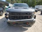 2024 Chevrolet Silverado K1500 Trail Boss Custom zu verkaufen in Midway, FL - Front End