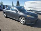 2010 Toyota Camry Base   продається в Ham Lake, MN - Hail