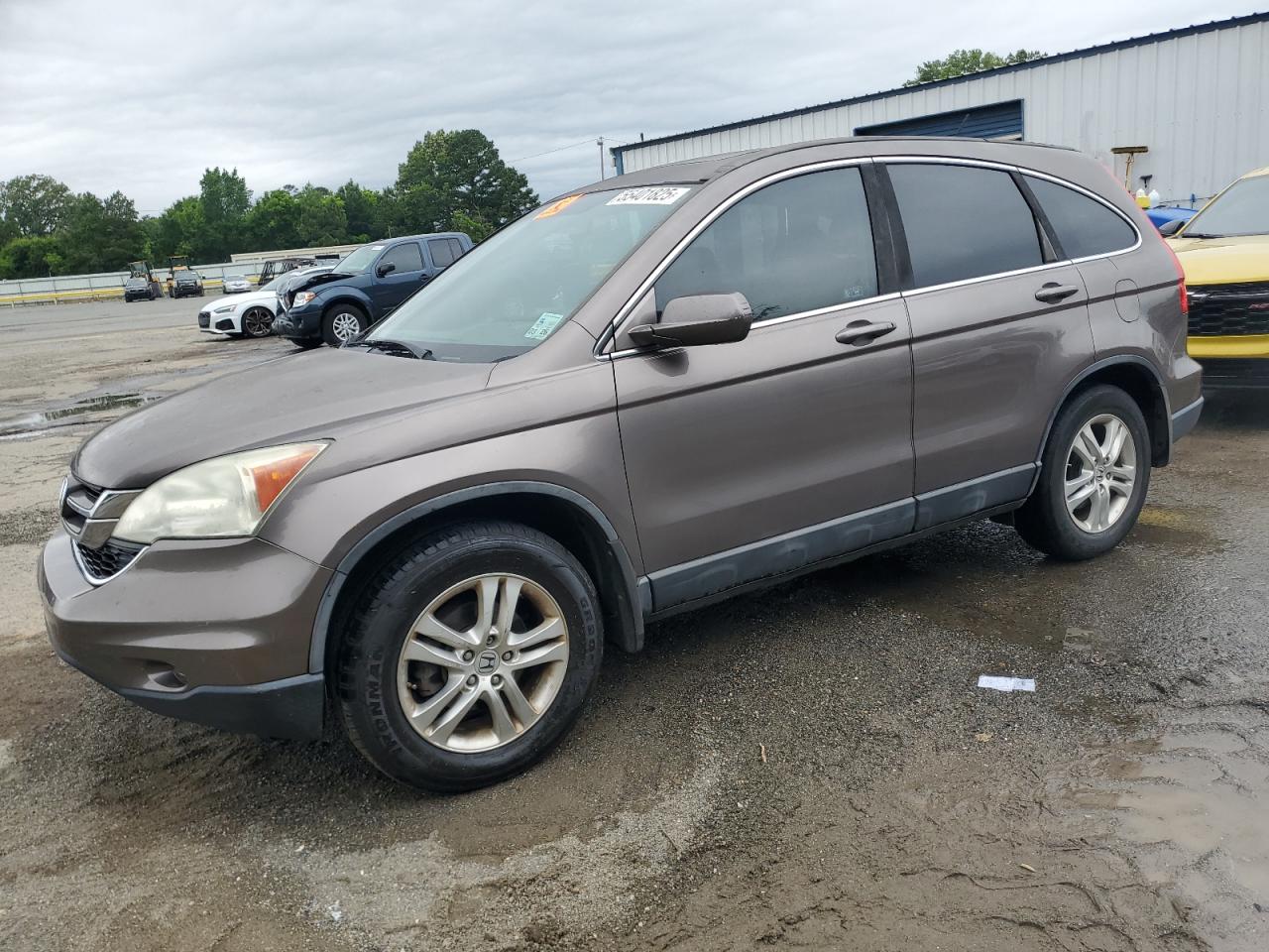 2010 Honda Cr-V Exl за продажба в Shreveport, LA - Side