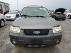 2006 Ford Escape Xlt for Sale in Earlington, KY - Hail