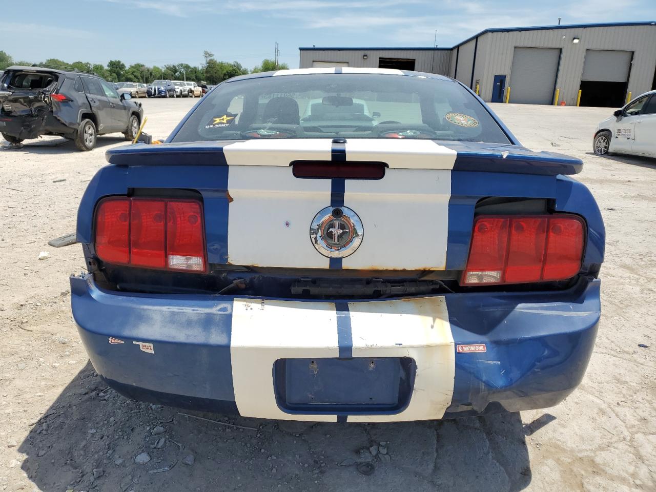 2008 Ford Mustang VIN: 1ZVHT80N685206259 Lot: 56911185