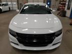 2015 Dodge Charger Police იყიდება Blaine-ში, MN - Minor Dent/Scratches
