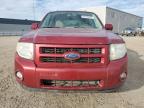 2008 Ford Escape Limited for Sale in Nisku, AB - Hail