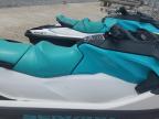 2023 Seadoo Gtx 130 на продаже в Arcadia, FL - Side