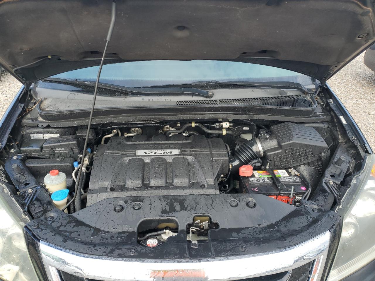 2009 Honda Odyssey Exl VIN: 5FNRL38789B032968 Lot: 55183805
