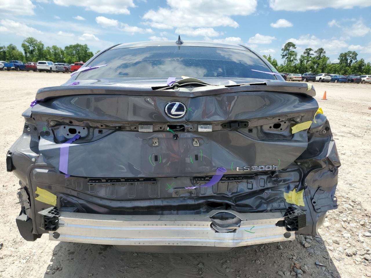2021 Lexus Es 300H VIN: 58ADA1C19MU004348 Lot: 56842645