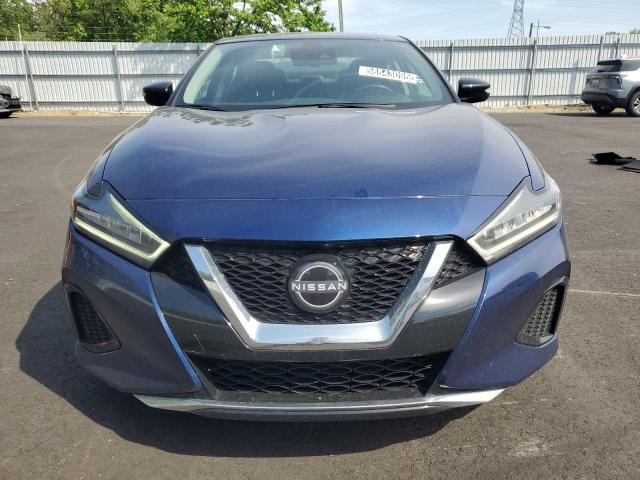  NISSAN MAXIMA 2023 Синий
