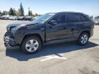 2019 Toyota Rav4 Xle للبيع في Rancho Cucamonga، CA - Front End