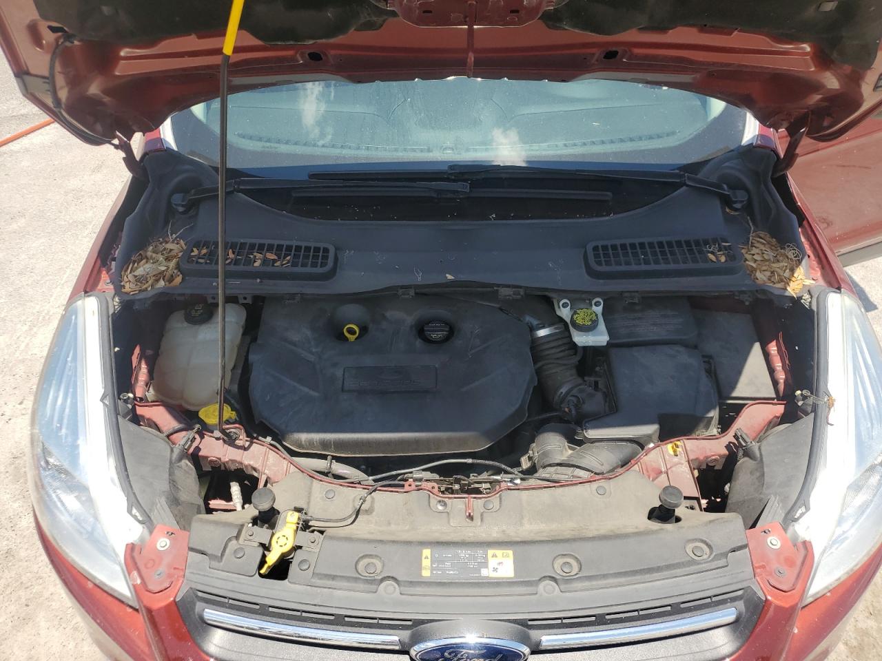 2014 Ford Escape Se VIN: 1FMCU0G95EUD98839 Lot: 57062535