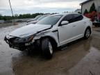 2015 Kia Optima Lx   for Sale in Louisville, KY - Front End