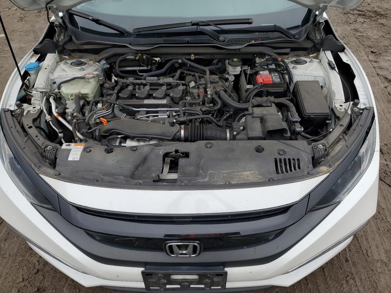 2019 Honda Civic Exl VIN: 19XFC1F77KE210245 Lot: 57097515