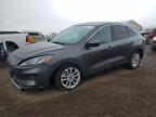 2021 Ford Escape Se for Sale in Brighton, CO - Front End