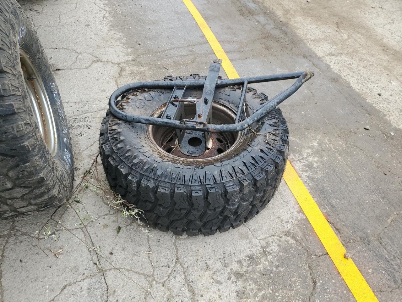 1994 Ford Bronco U100 VIN: 1FMEU15H6RLA10330 Lot: 56706415