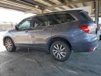 2021 Honda Pilot Exl for Sale in Hayward, CA - Front End
