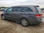2014 Honda Odyssey Exl   იყიდება Houston-ში, TX - Front End