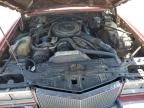 1981 Cadillac Eldorado  for Sale in Bakersfield, CA - Rear End