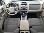 2010 Ford Escape Hybrid for Sale in Elgin, IL - Rear End