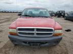 2004 Dodge Dakota Sxt for Sale in Greenwood, NE - Hail