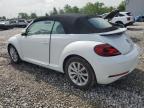2019 Volkswagen Beetle S na sprzedaż w Columbus, OH - Side