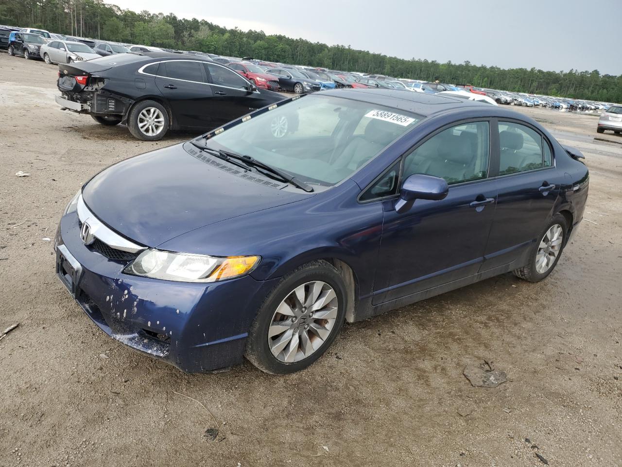2009 Honda Civic Exl for Sale in Harleyville, SC - Rear End