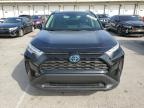 2024 Toyota Rav4 Xle de vânzare în Louisville, KY - Rear End