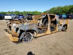 2024 Chevrolet Silverado K1500 Lt Trail Boss na sprzedaż w Ham Lake, MN - Burn