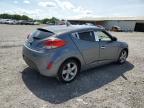 2015 Hyundai Veloster  for Sale in Madisonville, TN - Vandalism