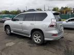 2016 Lexus Gx 460 for Sale in Denver, CO - Biohazard/Chemical