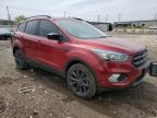 Chicago Heights, IL에서 판매 중인 2019 Ford Escape Se   - Minor Dent/Scratches