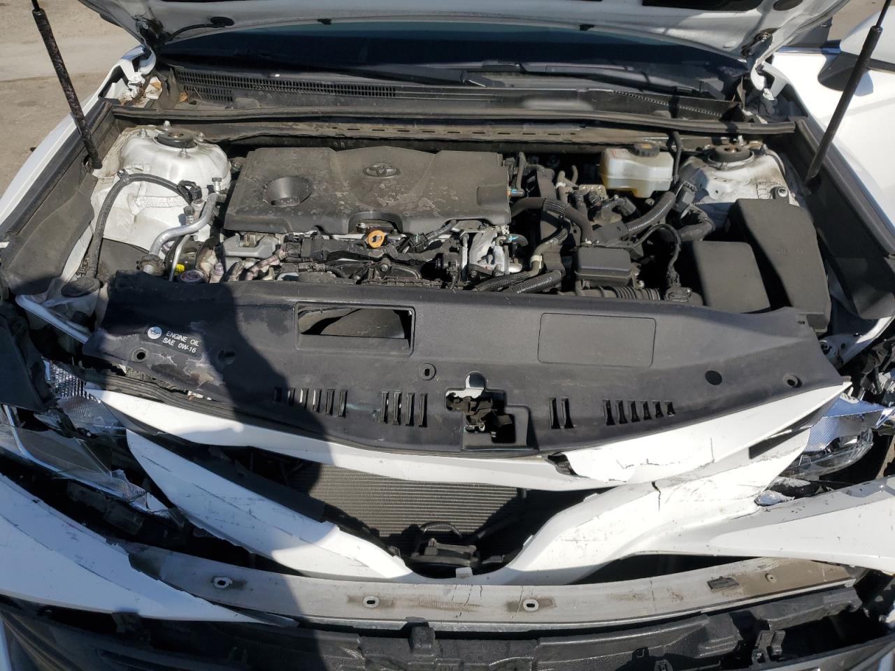 2019 Toyota Camry Le VIN: 4T1B31HKXKU008075 Lot: 56932735