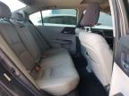 2013 Honda Accord Exl للبيع في Phoenix، AZ - Front End