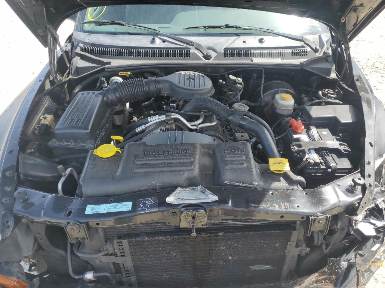 2000 Dodge Dakota VIN: 1B7GL22X7YS523916 Lot: 56334055