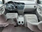 2004 Honda Odyssey Ex zu verkaufen in Louisville, KY - Hail