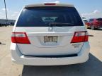 2005 Honda Odyssey Exl იყიდება Wilmer-ში, TX - Front End