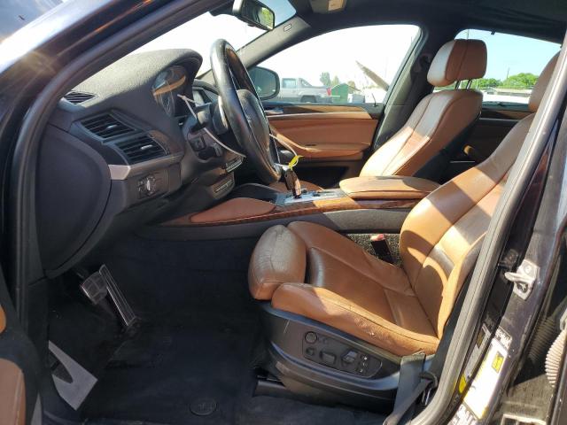 Parquets BMW X6 2013 Blue